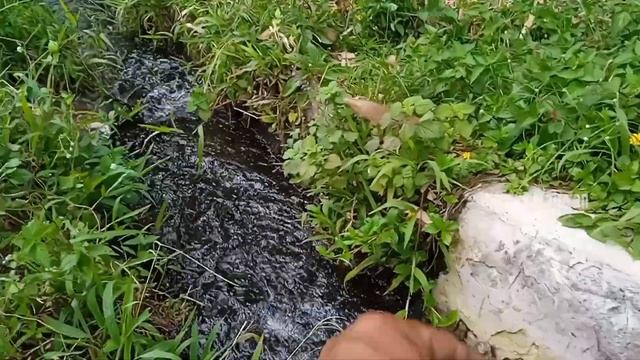 SANGAT MEMBAGONGKAN‼️mancing ikan Uceng di irigasi tengah sawah @ngelurwalesan5059
