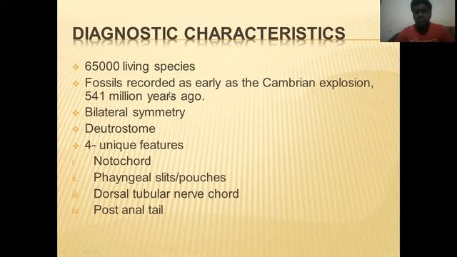 Class Pterobranchia & Phylum Chordata
