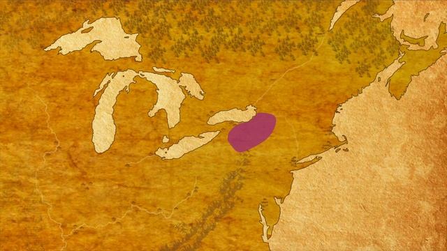 What Were The Beaver Wars?