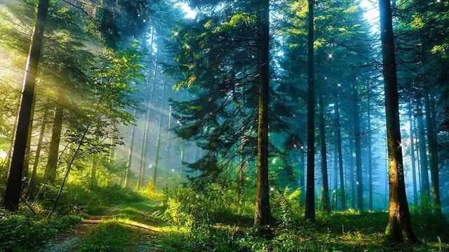Самая красивая мелодия на свете! Эту музыку можно слушать вечно! красивая музыка Сергей Грищук #119