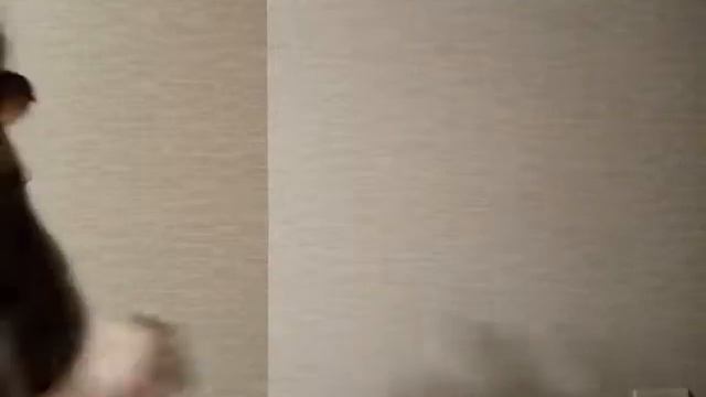 Хз как назвать но просто клип