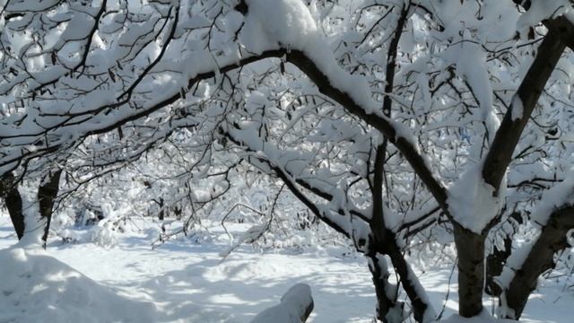 Горы Дагестана, красивая зима в горах Дагестана