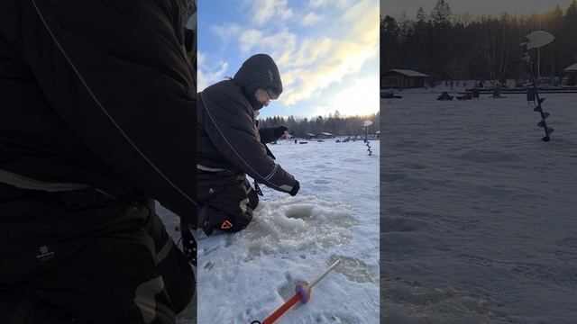 Видеообзор с водоёма