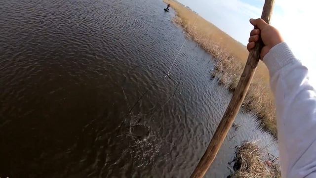 ЛУЧШАЯ РЫБАЛКА НА ПАУК В МОЕЙ ЖИЗНИ!!! СТОЛЬКО РЫБЫ Я ЕЩЁ НЕ ВИДЕЛ!!!