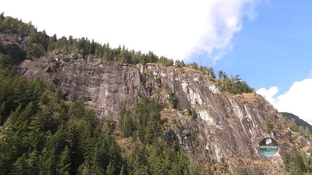Grizzly Bear Viewing Wildlife Adventure Tour Toba Klite River