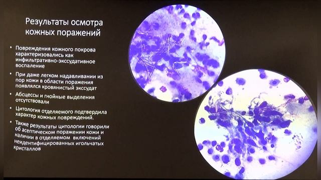 Клинический случай осложненного стояния в репродуктивном цикле самки песчаной акулы в условиях ок