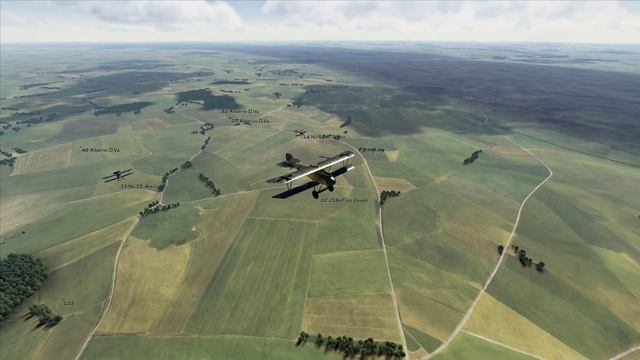 Rise of Flight Squadron Flight: "Albatros formation'' (part 1)