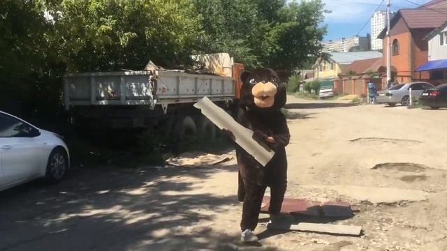 Бобер с детьми ремонтирует дорогу