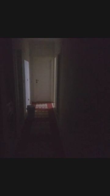 JBL Bandpass Subwoofer BASS Test !! 8 İnc + 1000W RMS.. (Earthquake Effect)