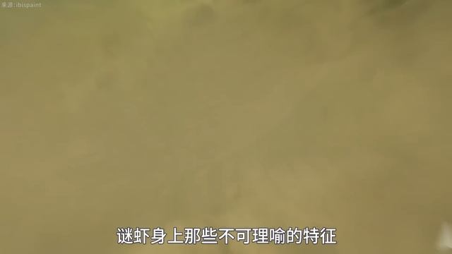 【鬼谷闲谈】袋头虾：抽象整活界的袋头大哥