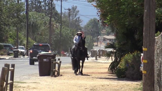 05  Renaissance Trail Ride Outside Bull Pen