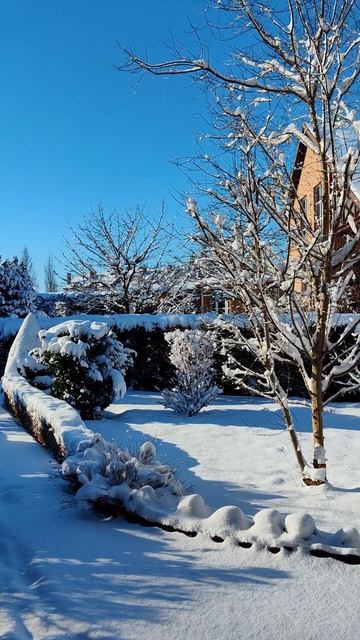 #shorts сказка 2025 "Морозко"