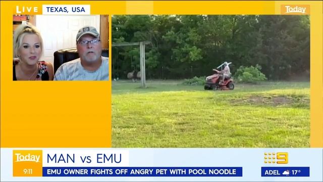 Man vs Emu: Man fights off angry pet emu with pool noodle | Today Show Australia