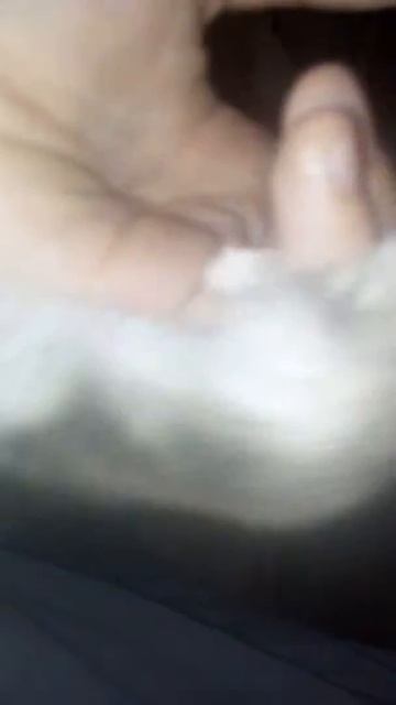 Хомяк Джерри 🐹