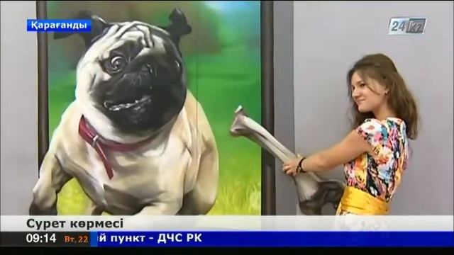 Мультфильм кейіпкерлерін 3D үлгісінде бейнелеген сурет көрмесі ашылды ашылды