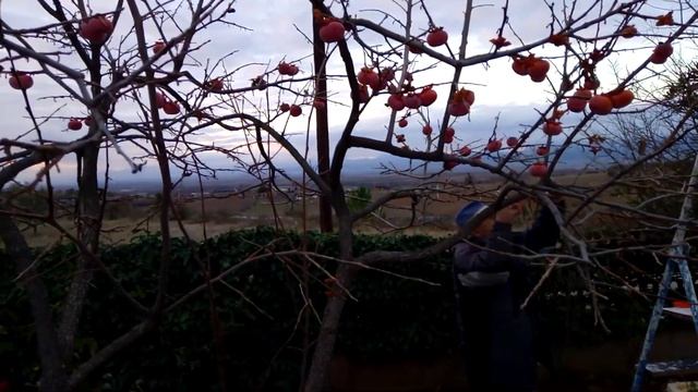 Собираем КОРОЛЕК, трудно ,помучались но мы это сделали .Обзор зимнего двора.