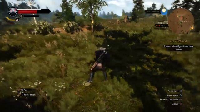 Explorando #2 Directo The witcher 3 con juanka y panther