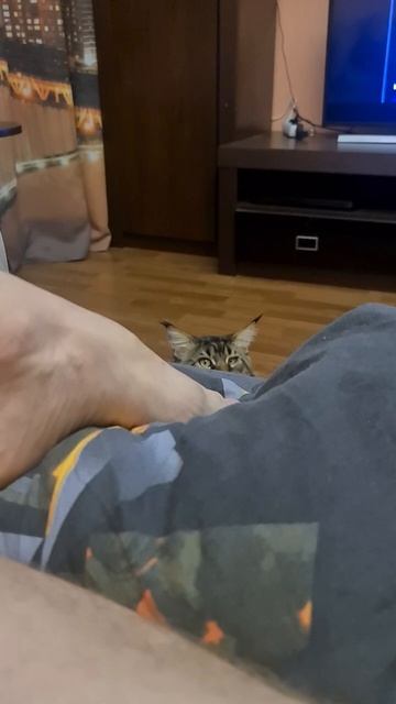 Всё на лице написано😁