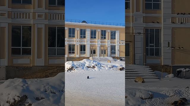 19-02-2025 чудный денек