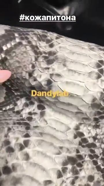 Натуральная кожа питона www.dandylab.ru