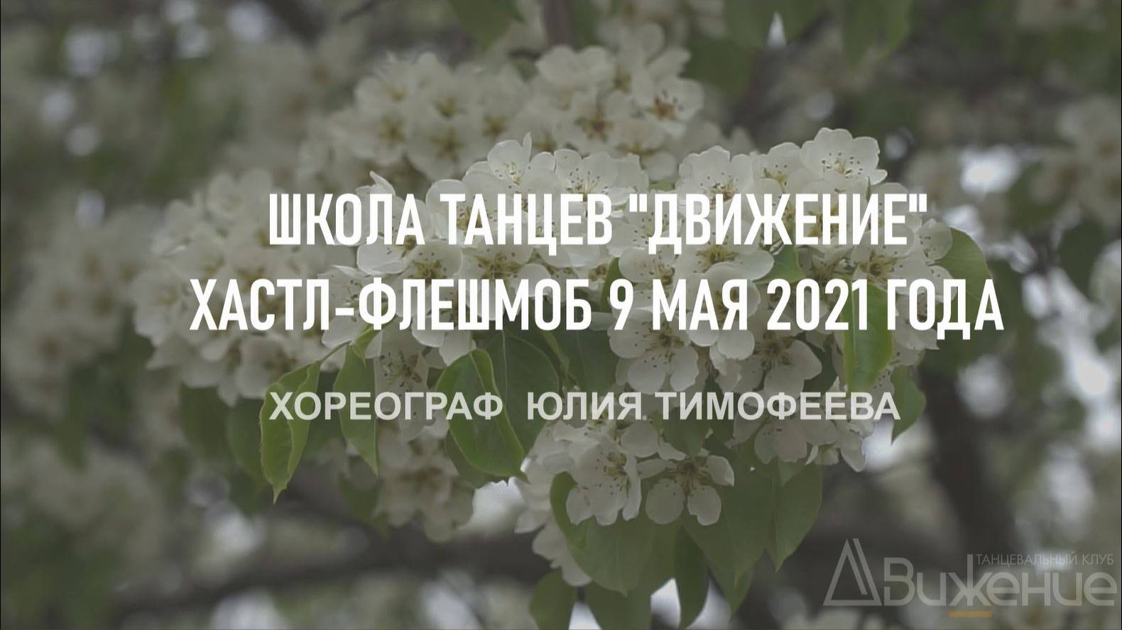 Хастл-флешмоб 9 мая. День Победы. Школа танцев 'Движение'