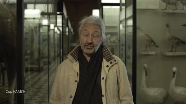 225 лет Зоологическому музею МГУ / Зоологический музей МГУ имени М.В. Ломоносова, 2 ноября 2016 г.