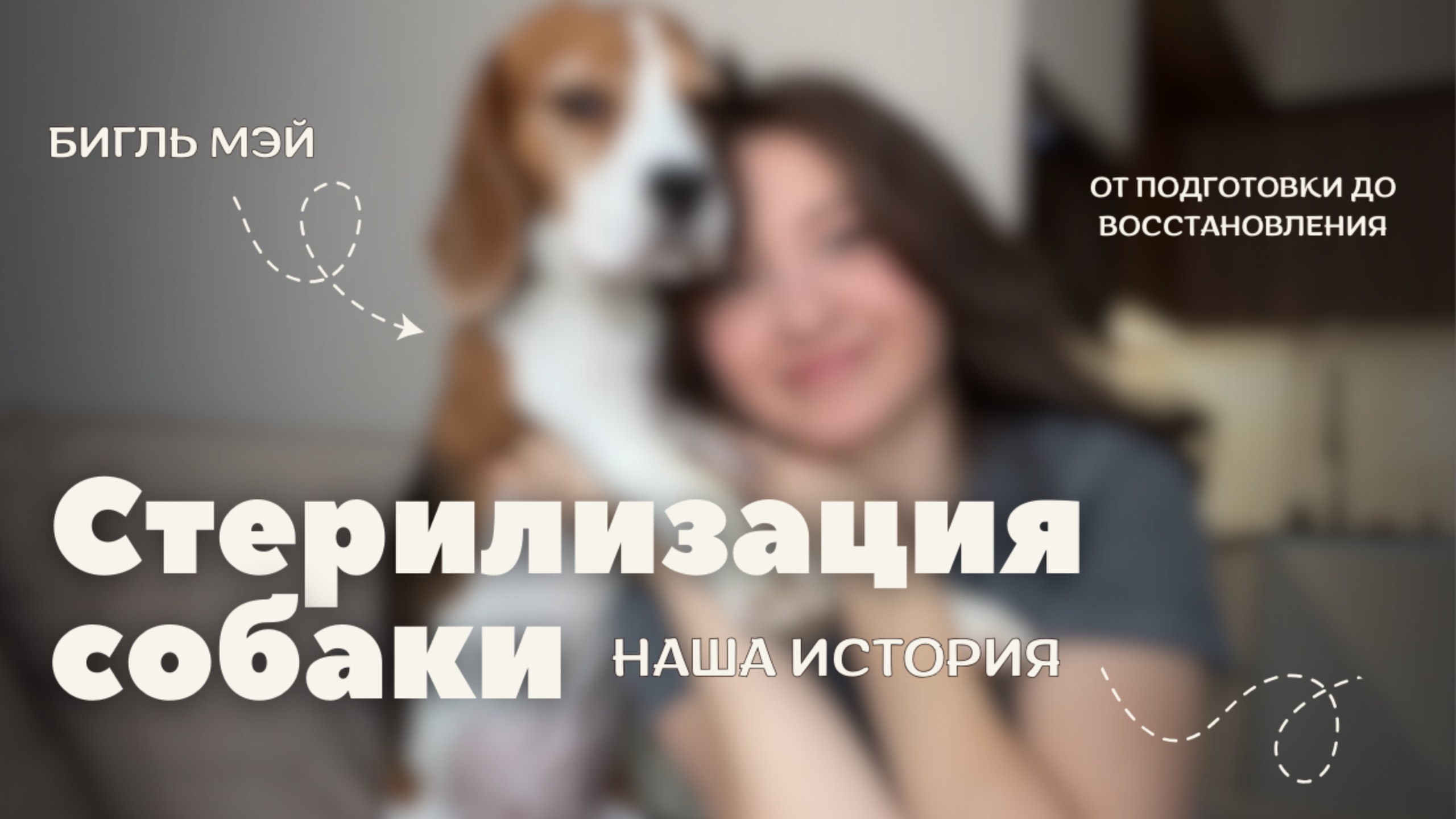 Мы стерилизовали Мэй. О подготовке, стоимости и восстановлении