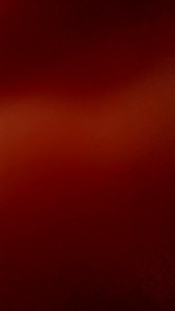 VID_2025_02_19_18_16_40_636794310166196037959