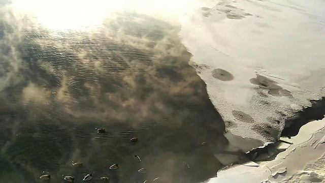 Мороз и утки