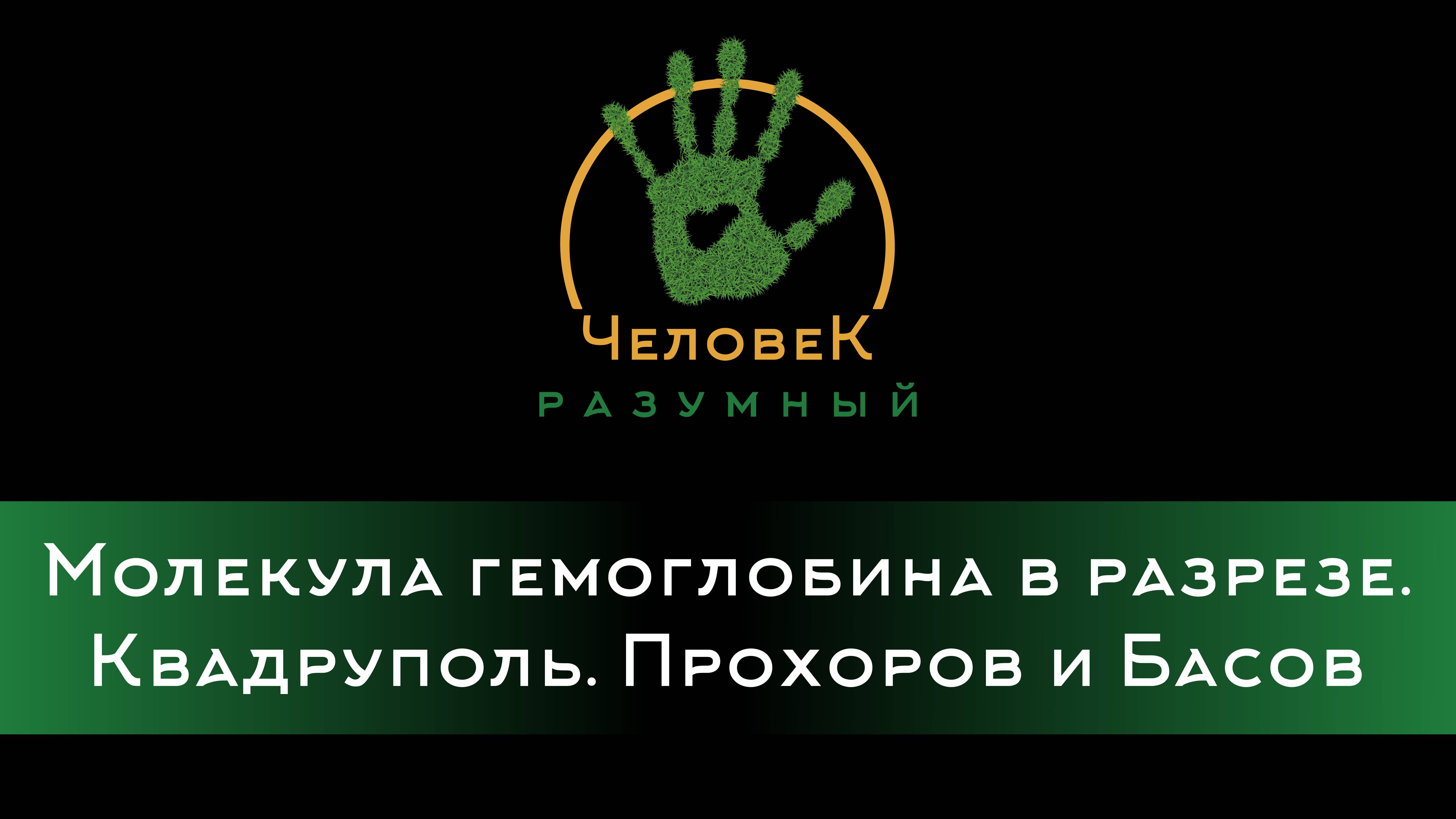 Молекула гемоглобина в разрезе. Квадруполь. Прохоров и Басов ("Человек-Разумный", 2013)