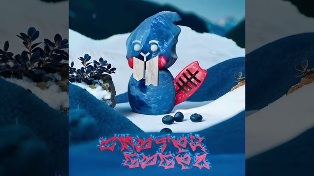 Smotri-Bobra-winter