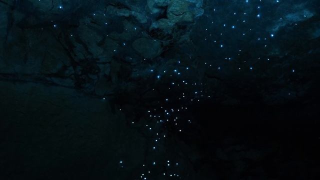 Glow Worm Timelapse 3