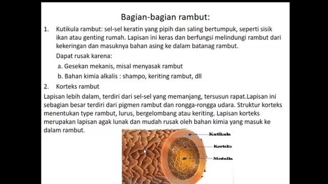REVIEW ANATOMI FISIOLOGI SISTEM INTEGUMEN RAMBUT KULIT KUKU