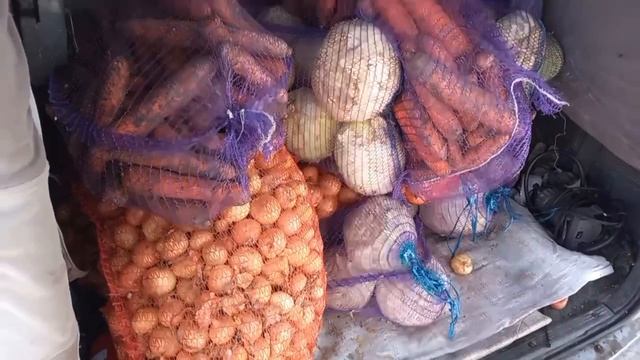 От жителей г. Озёры Московской области, наш Александр привёз овощи
🥕🥕🥕🧅🧅🧅🥦🥬🥦🥬