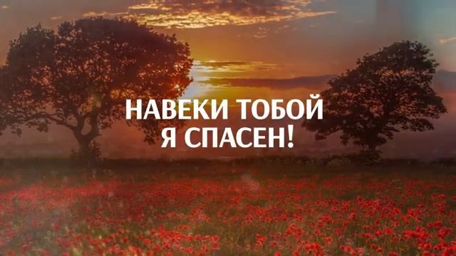 1000023335.mp4
