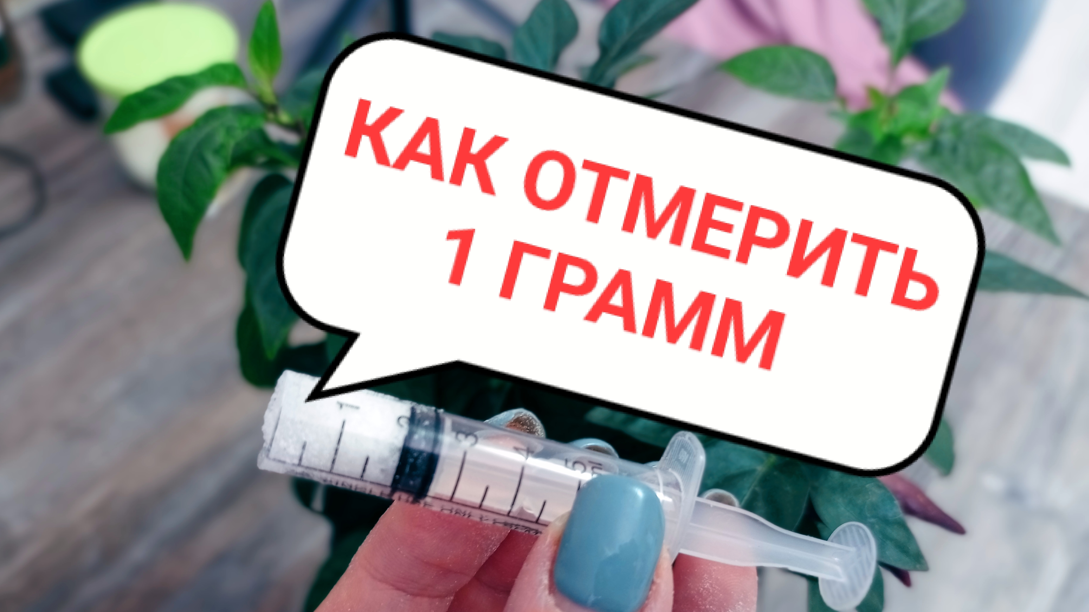 Зачем разрезаю шприц. Рассада для начинающих