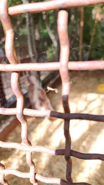 5b82d1a3-89c0-4696-9dcd-d0b9b5b01bf1-1_all_1869.mp4