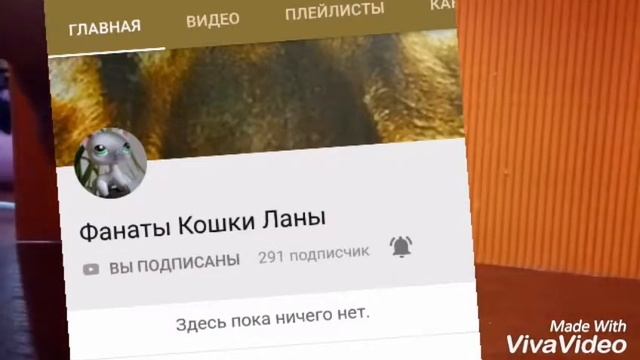 Пиар Фанатки кошки ланы