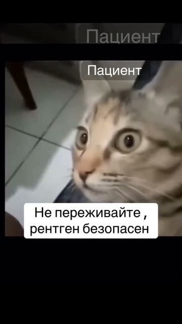 Шутка про врачей