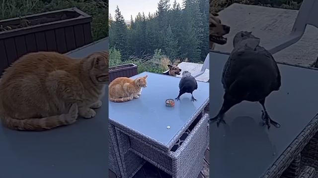 1000074153.mp4
