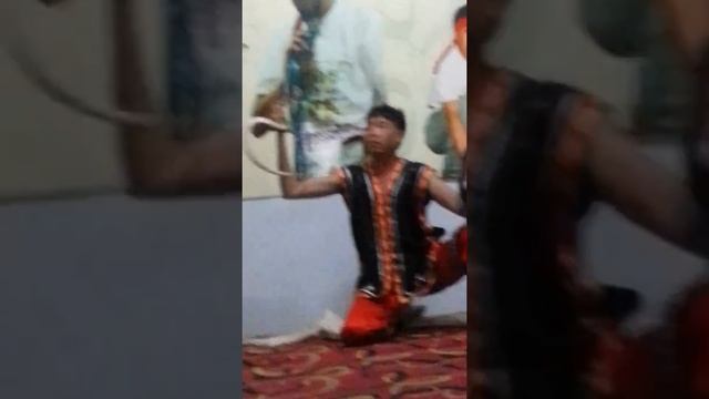 Выступления мастера с ядовитыми змеями.