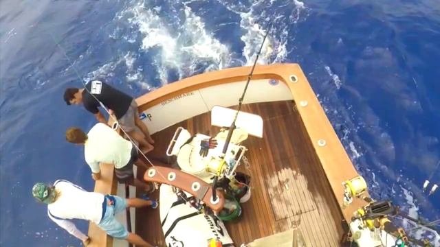 Kona july 2018 marlin fishing