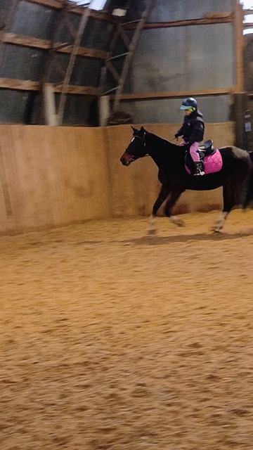 Соня и Флейта. Галоп. #horse #equestrian #лошади #pony