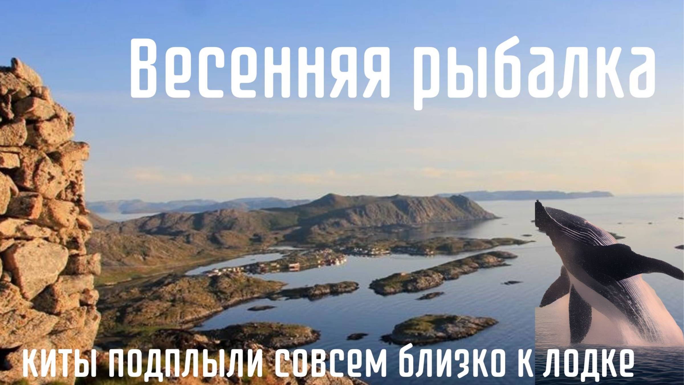 К лодке подошли киты во время морской рыбалки #экстрим рыбалка