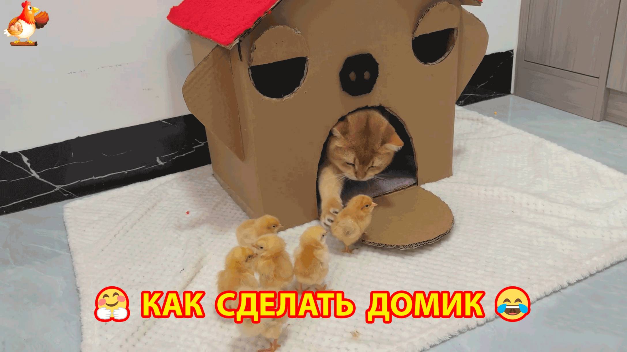 Как сделать домик для цыплят из коробки и игры с Кошкой 📦🏚️🐤🐤🐤