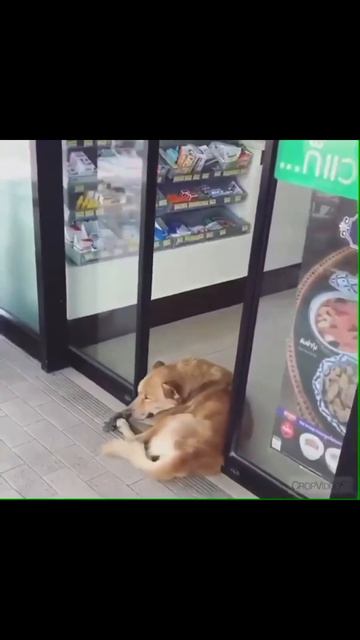 1000074173.mp4