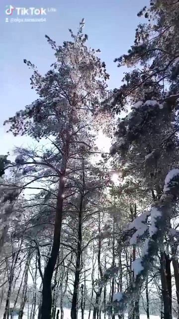 снова прогулка в зимнюю сказку 🤗