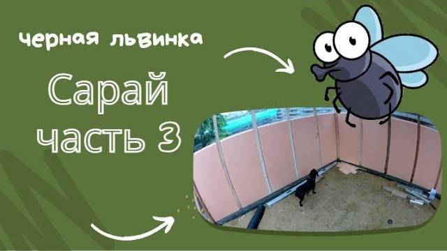 Сарай для львинки. Часть 3