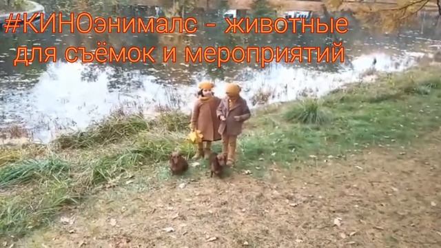 Воркшоп . Ольга Шустер.