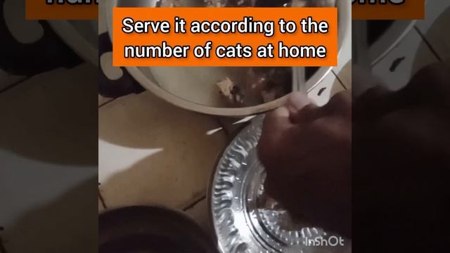 Cat Meal - chicken neck soup #shorts #cat